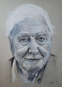 Sir David Attenborough Drawing