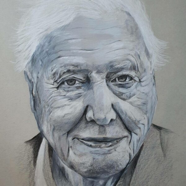 Sir David Attenborough Drawing